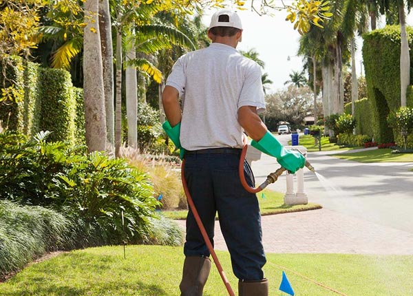 About Argonia KS Pest Control